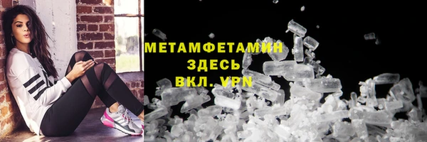 ГАЛЛЮЦИНОГЕННЫЕ ГРИБЫ Ельня