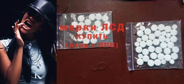 ГАЛЛЮЦИНОГЕННЫЕ ГРИБЫ Ельня