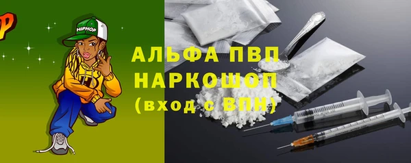 ГАЛЛЮЦИНОГЕННЫЕ ГРИБЫ Ельня