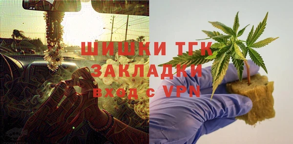 СК Медвежьегорск