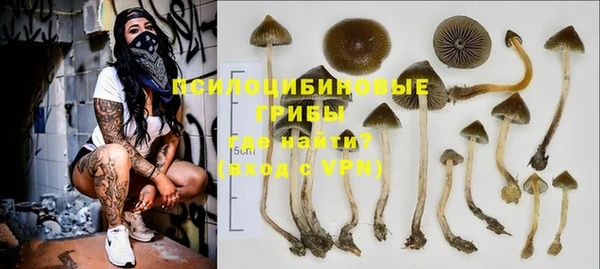 прущая мука Елабуга