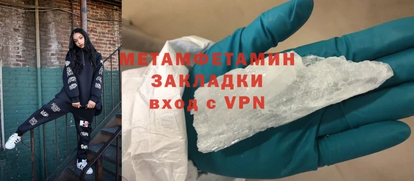 ГАЛЛЮЦИНОГЕННЫЕ ГРИБЫ Ельня