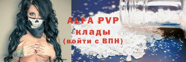 ГАЛЛЮЦИНОГЕННЫЕ ГРИБЫ Ельня