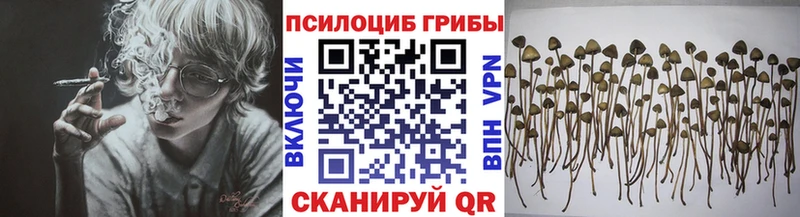 Псилоцибиновые грибы прущие грибы  Полесск 
